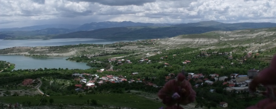 Ankara Ağın Kültür ve Dayanışma Derneği